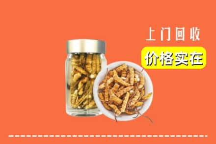 运城市万荣回收散虫草