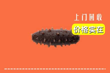 运城市万荣回收海参